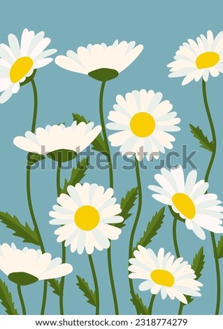 Chamomile flower background.Eps 10 vector. ストックフォト © 