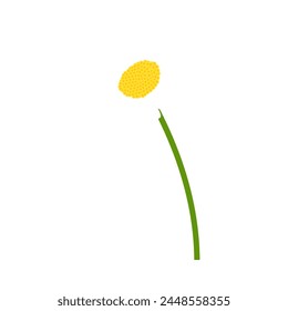 Kamillenblume. Schöne Blume für die Herstellung von Sommer- und Frühlingsdesigns. Vektorillustration.
