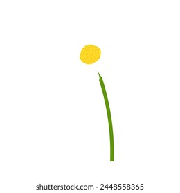 Flor de manzanilla. Hermosa flor para hacer diseños de verano y primavera. Ilustración vectorial.