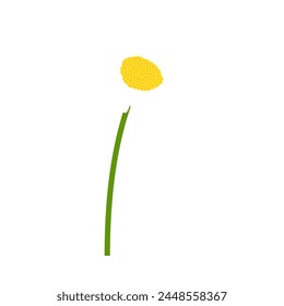 Kamillenblume. Schöne Blume für die Herstellung von Sommer- und Frühlingsdesigns. Vektorillustration.
