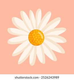Chamomile flower. Botanical vector isolated illustration for postcard, poster, ad, decor, fabric and other uses.