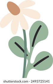 Chamomile Flower With Branch Vector Illustration