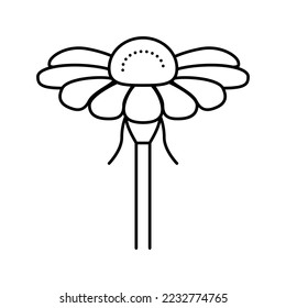 chamomile flower bud line icon vector. chamomile flower bud sign. isolated contour symbol black illustration