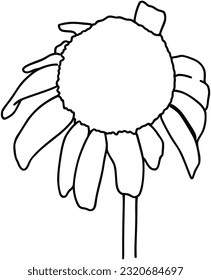 Chamomile flower bud plant nature doodle linear cartoon coloring