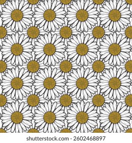 Chamomile Flower Color Background. Vector Illustration.