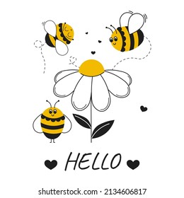 Chamomile flower with cute bee cartoon, heart and lettering hello on white background vector illustration
