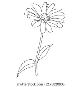 chamomile flower, doodle style gerbera, illustration for coloring book, coloring pages