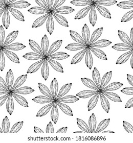 Chamomile flower drawing. Beautiful white flower. Flowers are dried flowers. Coloring book for children and adults. Manual graphics. For textiles, design, printershop. Isolate. Botanical pattern with 