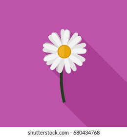 Chamomile flower in flat style.