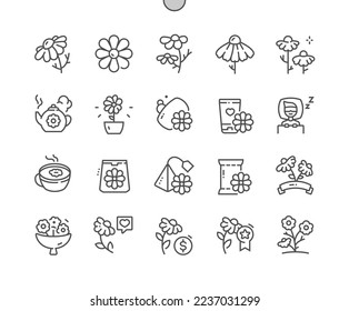 Chamomile flower. Floral and nature. Chamomile tea. Food ingredient. Medicinal plant. Pixel Perfect Vector Thin Line Icons. Simple Minimal Pictogram