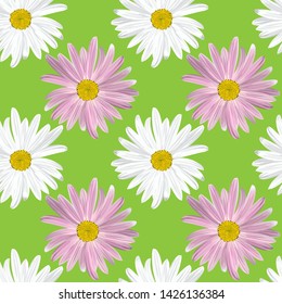 The chamomile flower. Floral texture alternating white and purple daisies on a green background, seamless  geometric pattern, vector