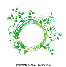 chamomile flower and green leaves