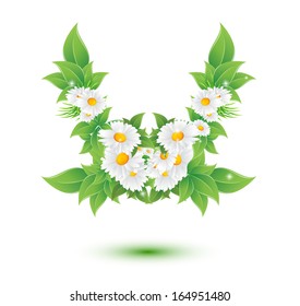 chamomile flower and green leaves