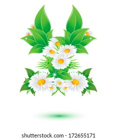 chamomile flower and green leaves