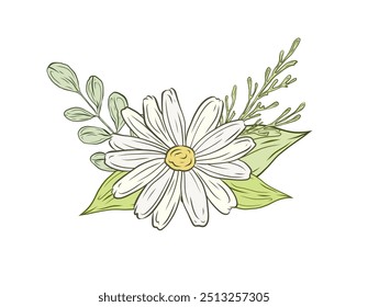 Flor de camomila com folhas verdes e ramos.Ilustração de cor vetor, buquê de flores. Design e decoração de camomila, produtos de margaridas. Ervas, plantas, vegetação, cartão-postal botânico.