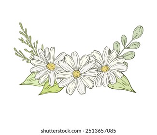 Flor de manzanilla con hojas y ramas verdes. Ilustración de color de Vector, ramo de flores. Diseño y decoración de productos de manzanilla, margaritas. Hierbas, plantas, vegetación, postal botánica.
