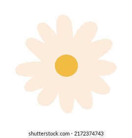 Chamomile flower head. Vector illustration