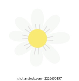 Chamomile flower head Vector illustration