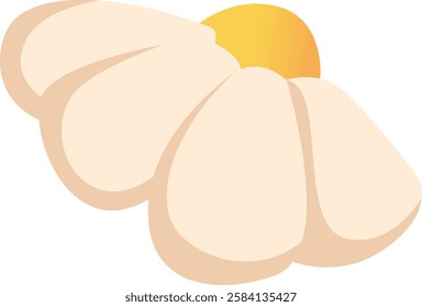 Chamomile Flower Head Vector Illustration