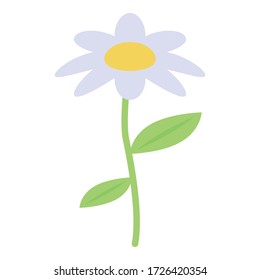 Chamomile flower icon. Isometric of chamomile flower vector icon for web design isolated on white background