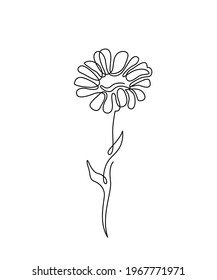 Chamomile flower illustration in simple minimal continuous outline line style. Nature blossom daisy art for floral botanical design. Isolated on white background.