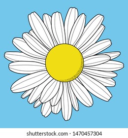 Chamomile flower. Isolated on blue background. Outline vector illustration.