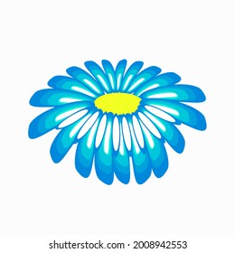Chamomile flower isolated on a white background.Vector illustration.Medicinal flower can be used in textiles,cosmetics packages,postcards.