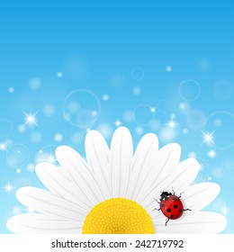 Chamomile flower and ladybird on blue background. Vector illustration. 