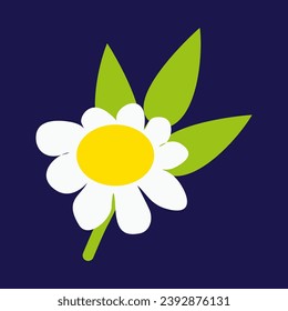 Chamomile flower with Leaf and Stem isolated on dark background. Flat style Floral element for logo design, Card, Decoration and any purposes. Cartoon illustration with white camomile and leaves
