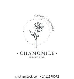 Chamomile flower. Logo for spa and beauty salon, boutique, organic shop, wedding, floral designer, interior, photography, cosmetic. Botanical floral element.
