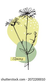 Chamomile flower minimal print pastel colors boho style