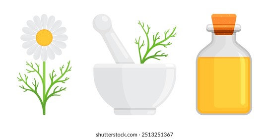 Chamomile flower, mortar, pestle, and bottle of essential oil. Flat vector illustration isolated on white background. Natural medicine concept. Great for homeopathy, aromatherapy, and spa projects