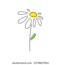 Chamomile flower on a stem with a leaf, hand-drawn line, isolated on a white background, vector. A simple illustration, a child's drawing of a summer wild flowering plant. Botanical element