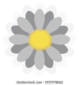 Chamomile flower on a white background. Postcard Summer cute sunny for printing on kitchen textiles, interiors, floral prints. The trend colors of 2021 are gray and yellow. Vector graphics.