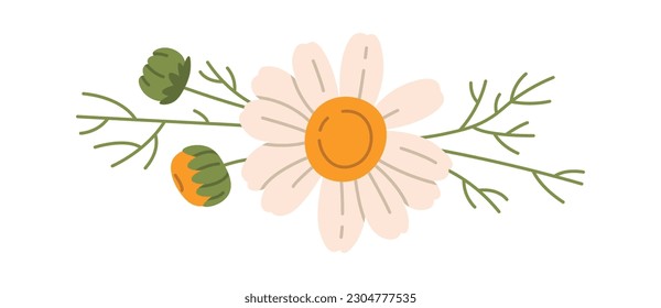 Vektorgrafik von Kamillenblumenschmuck