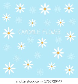 Chamomile flower pattern vector on background