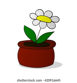 chamomile flower in pot colorized vector illustration on white background