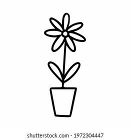 Chamomile in flower pot. Vector illustration in doodle style.