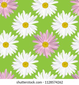 The chamomile flower. Seamless floral texture alternating white and purple daisies on a green background, geometric pattern, vector