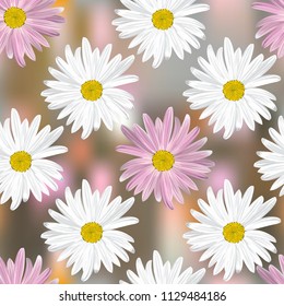 The chamomile flower. Seamless floral texture alternating white and purple daisies on abstract color background, geometric pattern, vector