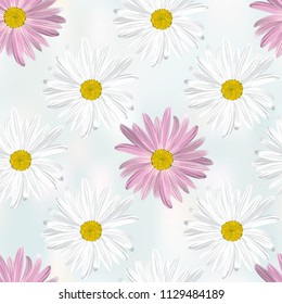 The chamomile flower. Seamless floral texture alternating white and purple daisies on abstract light blue background, geometric pattern, vector
