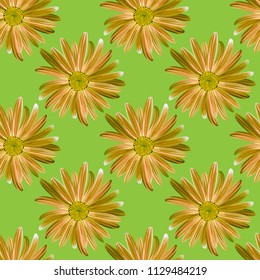 The chamomile flower. Seamless floral texture of Daisy flower on a green background,geometric pattern, vector