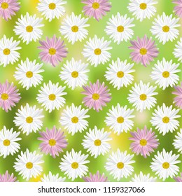 The chamomile flower. Seamless floral texture alternating white daisies in the shape of a square with purple daisies on a yellow green abstract background, geometric pattern, vector