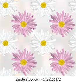 The chamomile flower. Seamless floral texture alternating white and purple daisies on grey abstract background, geometric pattern, vector