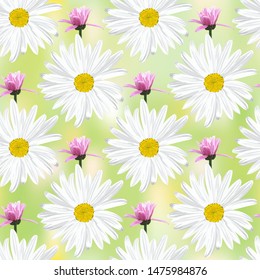 The chamomile flower. Seamless floral texture white of Daisy flower and open inflorescence of lilac daisies in profile on a light green abstract background, geometric pattern, vector.