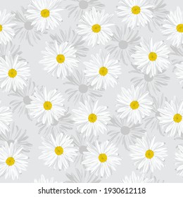 The chamomile flower. Seamless floral texture white of Daisy flower on grey background, EPS 10, vector.
