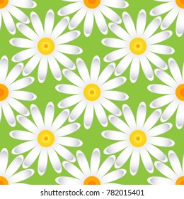 The chamomile flower. Seamless floral texture white Daisy flower on a green background,geometric pattern, vector
