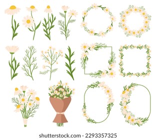 Chamomile Flower Set With Beautiful Frames and Borders Perfect For Creating Floral Designs And Decorations, Adding A Touch Of Elegance And Natural Charm To Any Project. Cartoon Vector Illustration