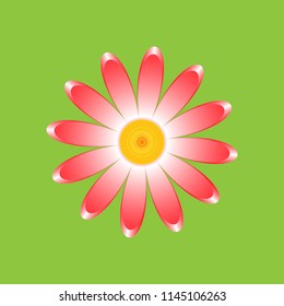 The chamomile flower. Single flower light red daisies made of simple geometric shapes on a green background, icon, vector