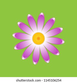 The chamomile flower. Single flower violet daisies made of simple geometric shapes on a green background, icon, vector